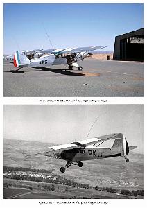 Piper L-21B_000036